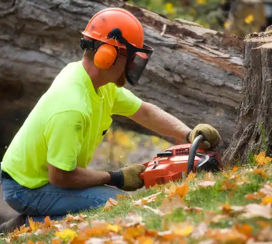 tree services Timonium